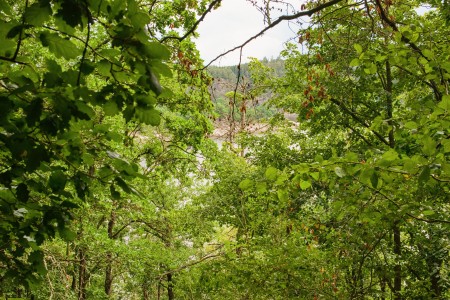 vraz otava