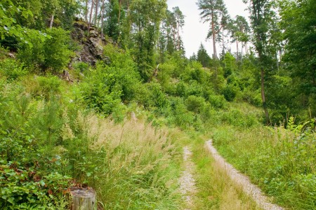 vraz otava