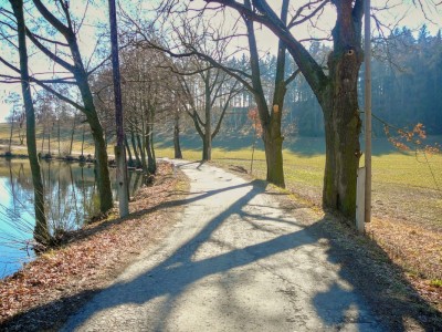 vyrezana cesta ovcin2008